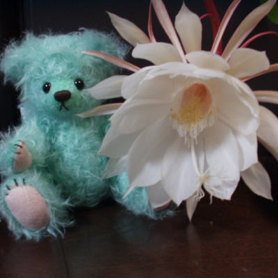 ���o�������悤�I