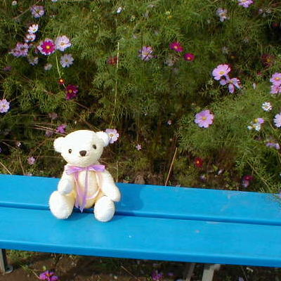 ������ƈ�x�݂���